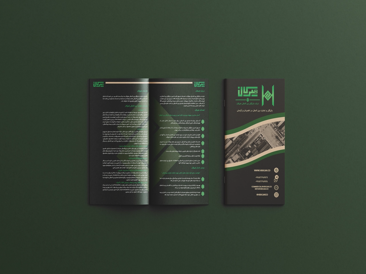 Brochure Project